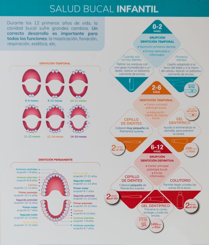 Imagen de Salud Bucal Infantil